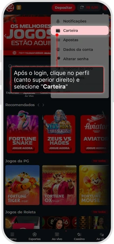 Menu do perfil no celular com acesso à Carteira